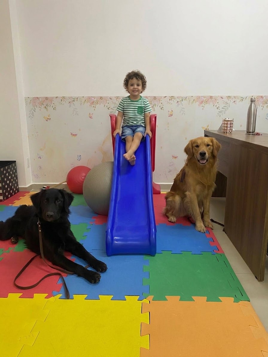Sessão de serviço assistido por cães com criança acompanhada por dois cães de intervenção em ambiente institucional